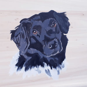 Beschilderde uitvaartkist door Vanessa van Munster - huisdier, hond
